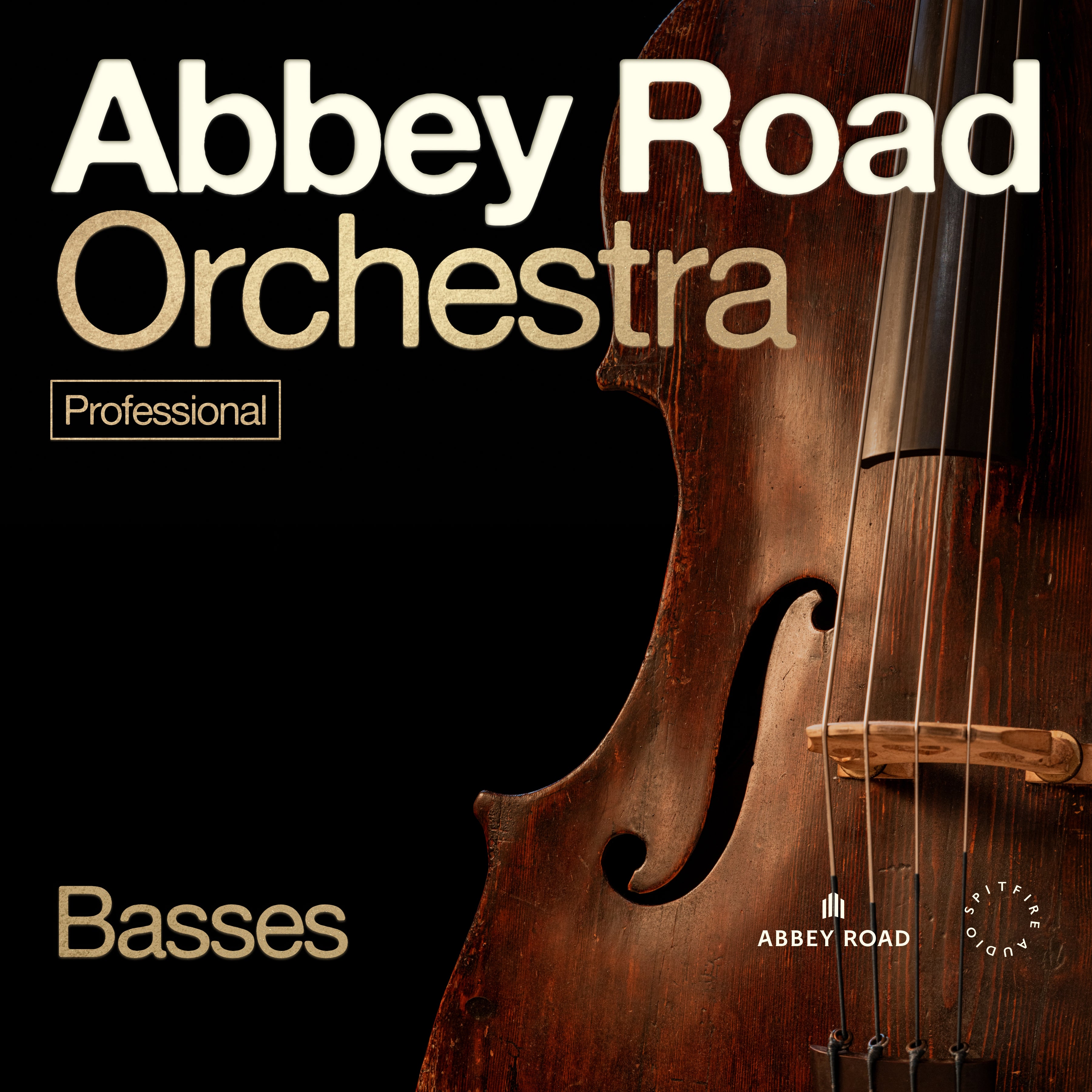 Abbey Road Orchestra: Basses Professional - Spitfire Audio