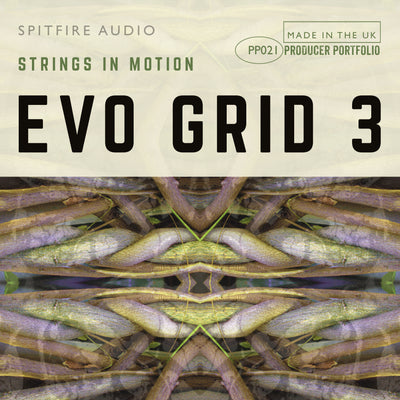 Evo Grid 3