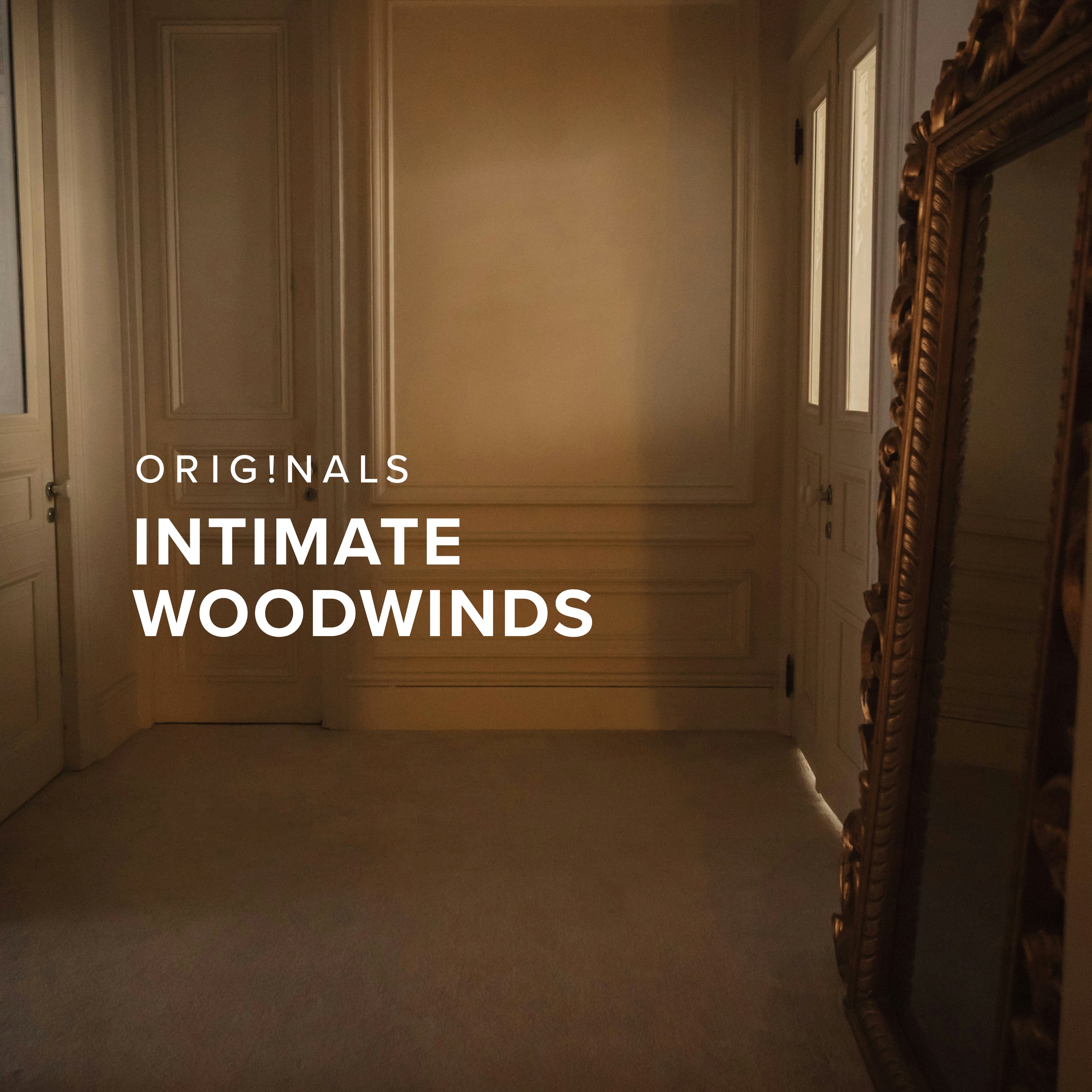 Originals Intimate Woodwinds – Delicate woodwind instruments | Spitfire ...