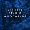 Studio Woodwinds