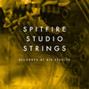 Studio Strings