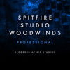 Studio Woodwinds Professional