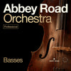 Abbey Road Orchestra: Basses Professional