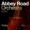 Abbey Road Orchestra Violas Professional
