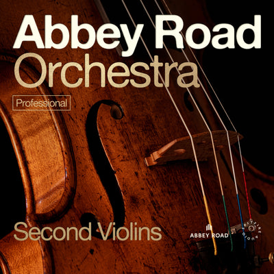 Abbey Road Orchestra: 2nd Violins Professional