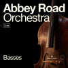 Abbey Road Orchestra Basses Core