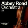 Abbey Road Orchestra Violas Core