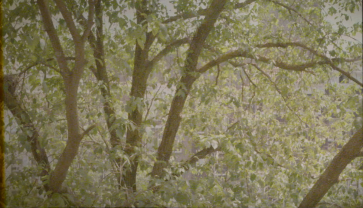 A Stone's Throw (Official video)