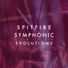 Symphonic Strings Evolutions