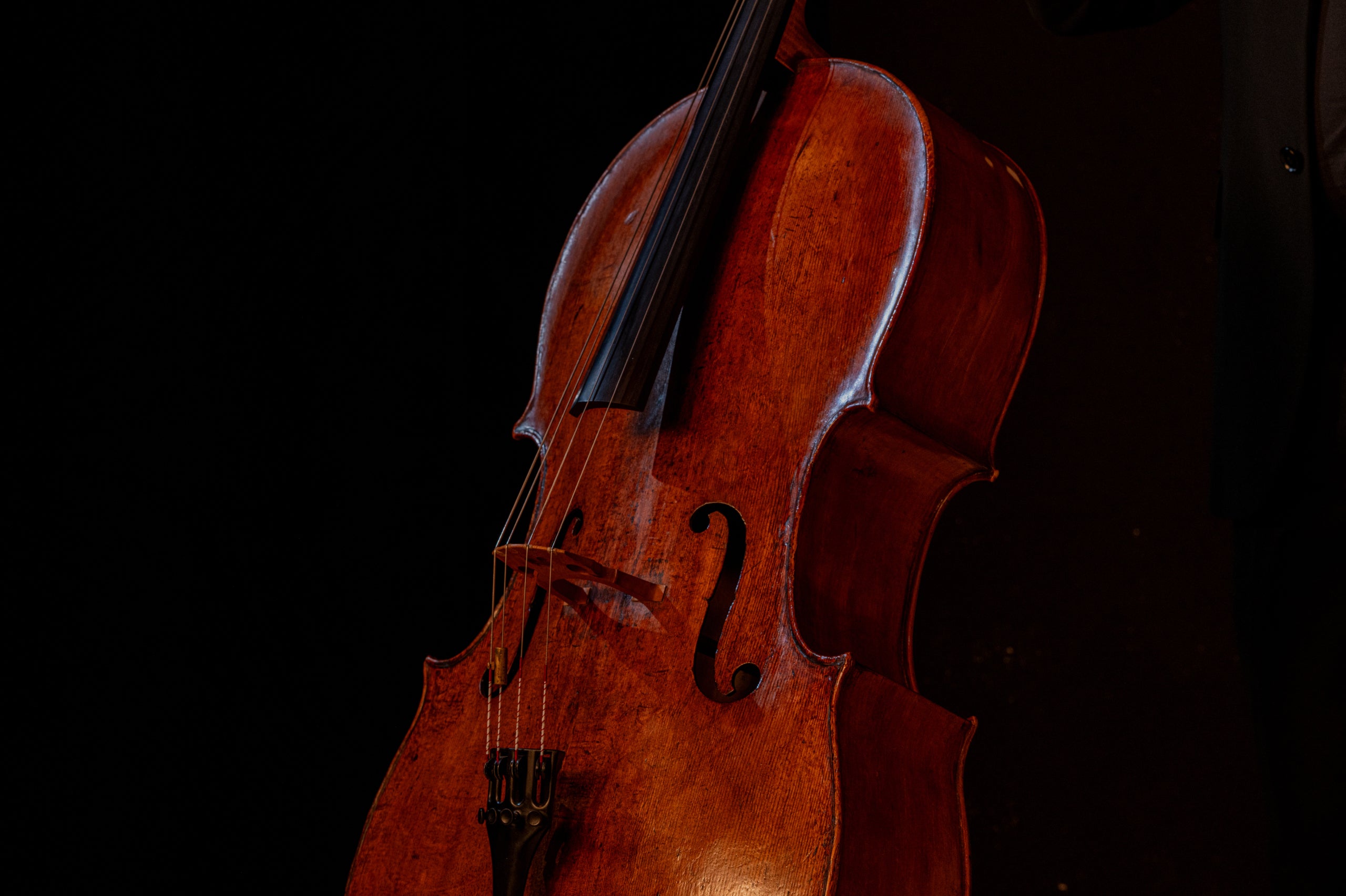 Abbey Road Orchestra: Cellos Professional - Spitfire Audio